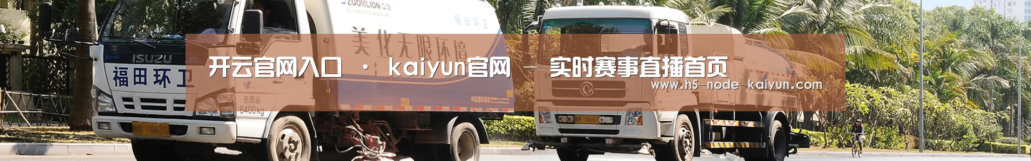 成功案例