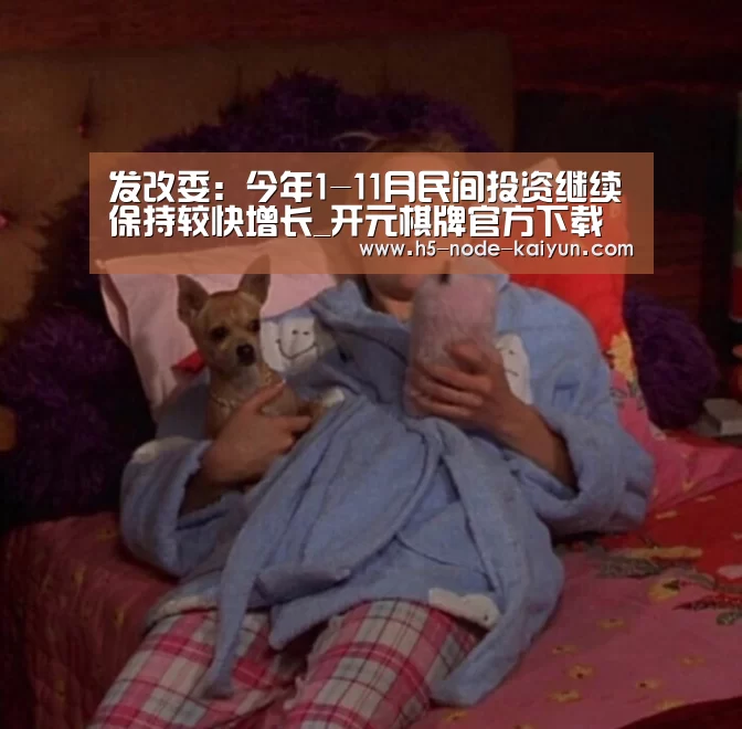 发改委：今年1-11月民间投资继续保持较快增长_开元棋牌官方下载