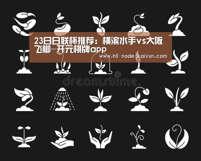 23日日联杯推荐：横滨水手vs大阪飞脚-开元棋牌app