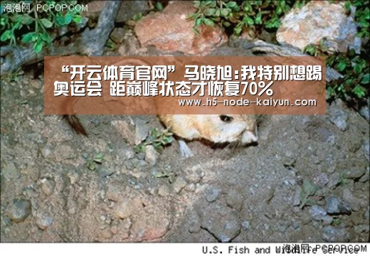 开云体育官网