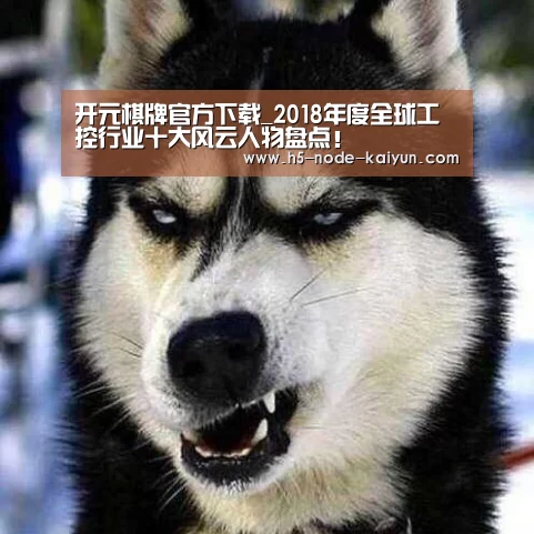 开元棋牌app