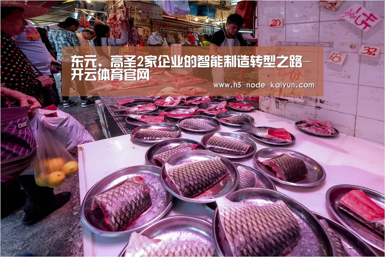 东元、高圣2家企业的智能制造转型之路-开云体育官网
