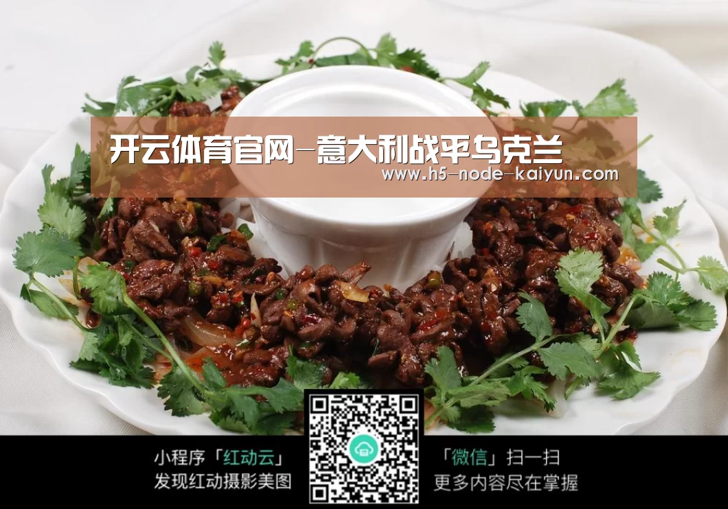开云体育官网-意大利战平乌克兰